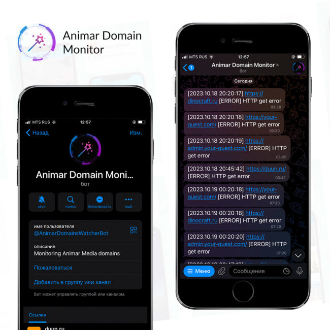 Бот для контроля доменов
