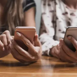 Виды чат ботов