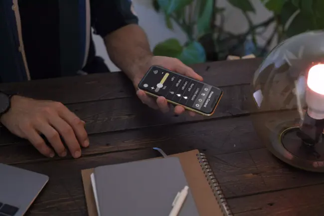 AnyConv.com__man-controlling-smart-lamp-with-his-phone сколько стоит разработка игры